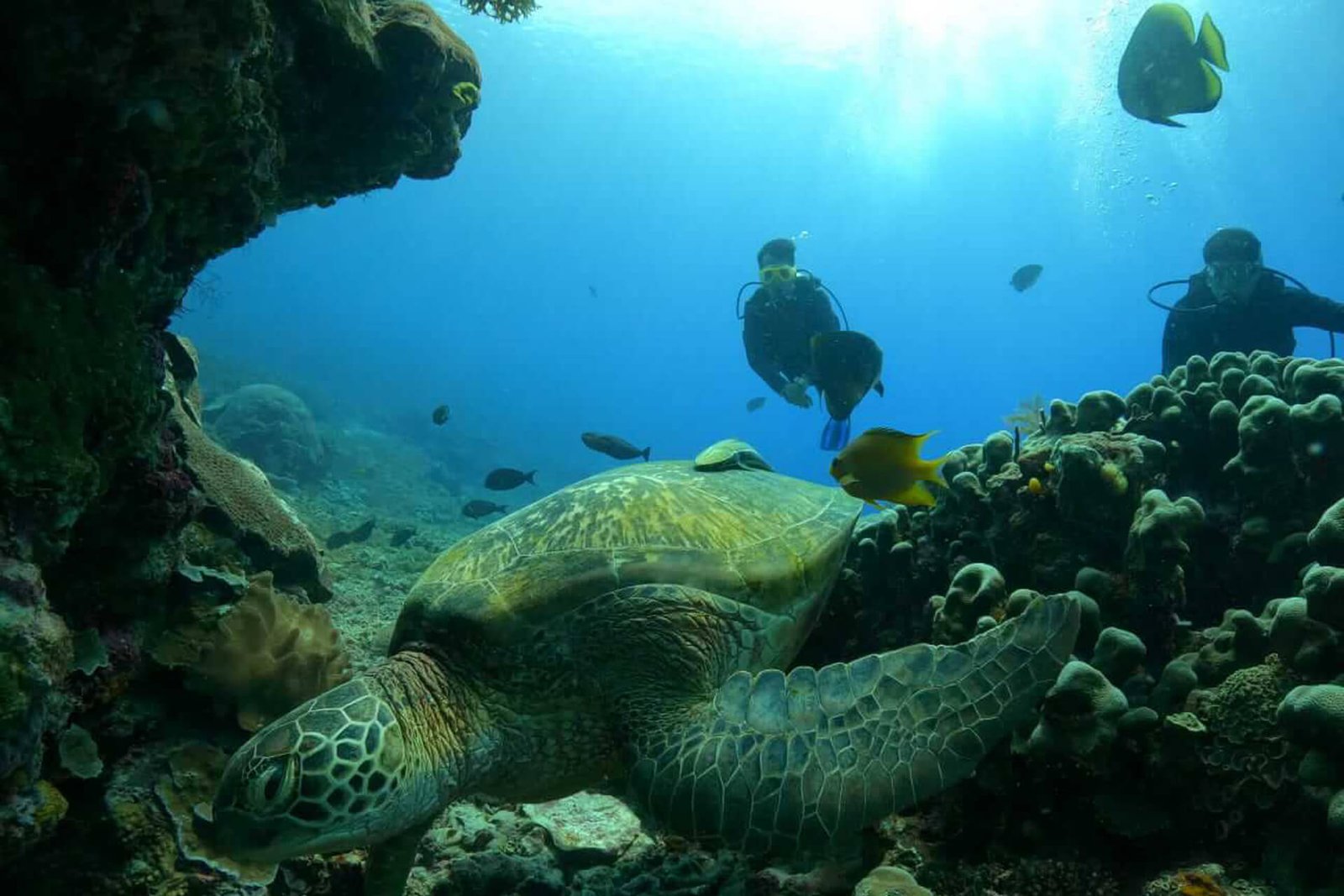 Andau-Dive-Resort-14