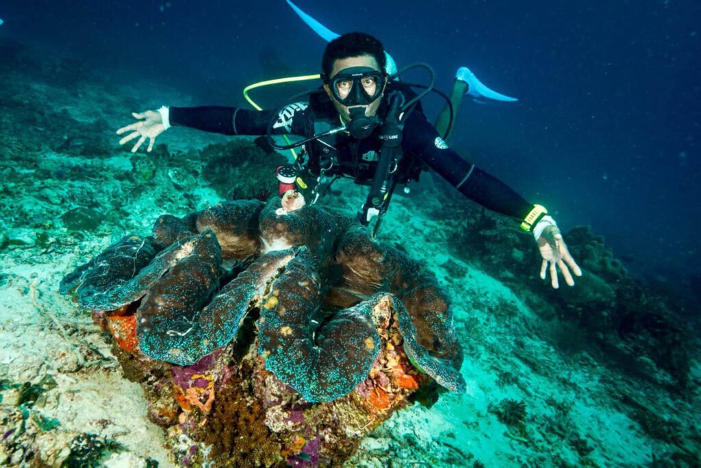 Andau-Dive-Resort-15