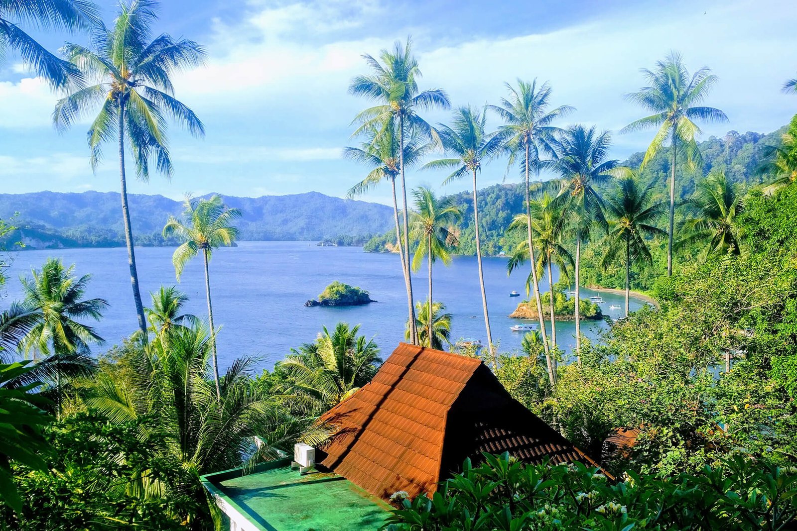 Chads-Dive-Resort-03