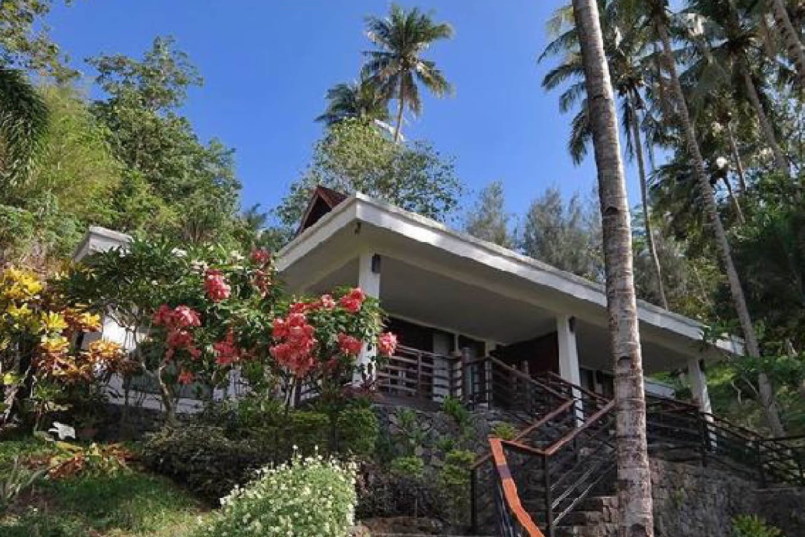 Chads-Dive-Resort-05